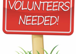 Volunteer Days! 3/18, 3/25 & 4/1